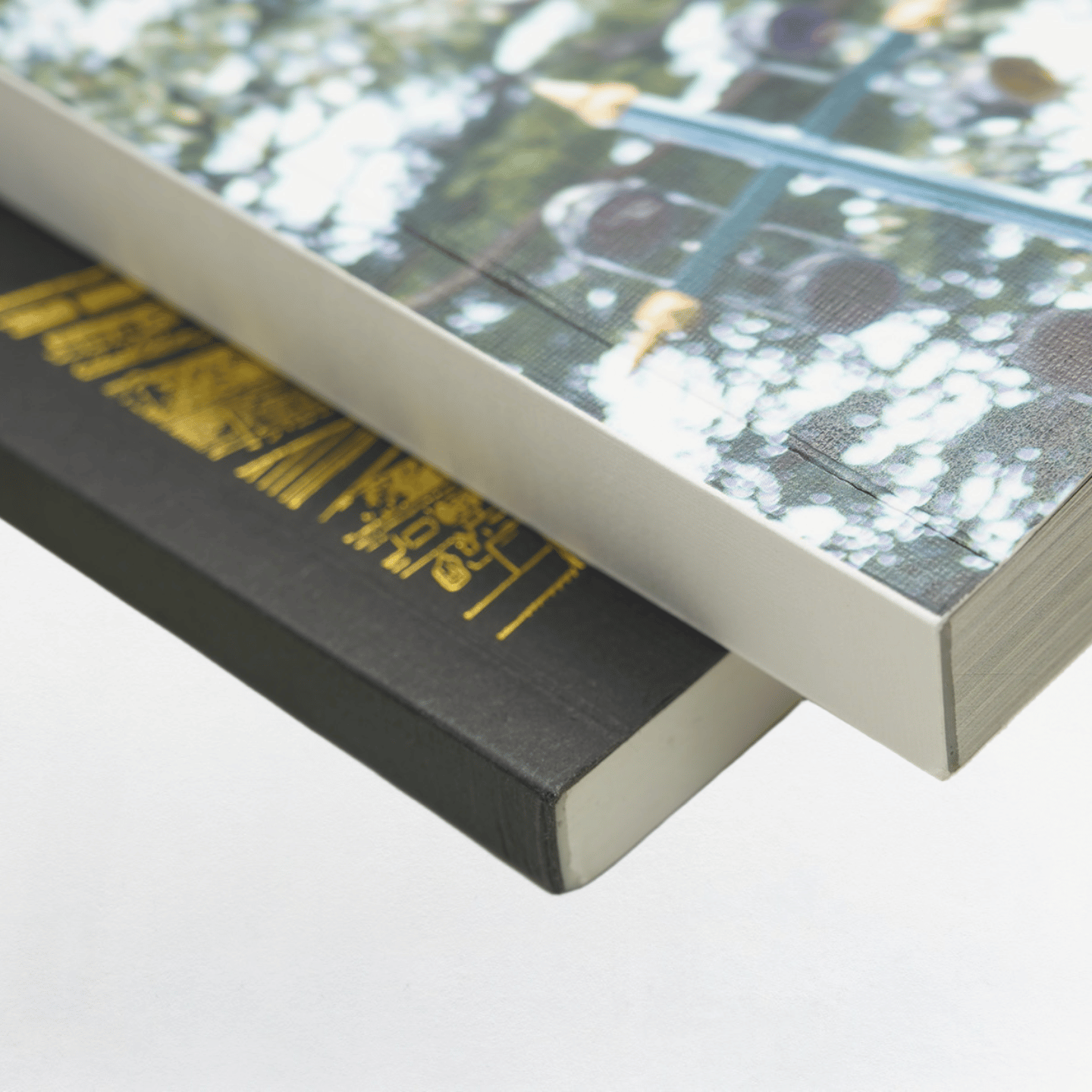 數碼膠裝書刊 Image 2